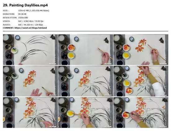Master Techniques in Modern Chinese Ink Painting - Advanced