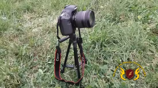 PHOTOGRAPHY - I - Natural Lighting &amp; Camera Handling