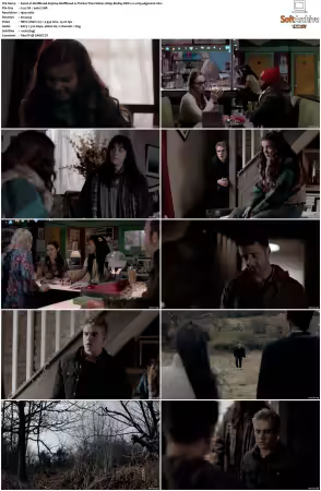 Wolfblood 2012 S03 1080p BluRay DDP 2.0 x265-edge2020