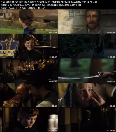 Far from the Madding Crowd 2015 1080p BluRay x265-YAWNTiC