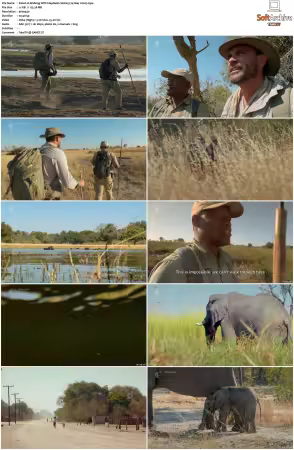 Walking with Elephants S01 540p x264-NGP