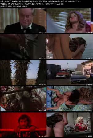 Beneath the Valley of the Ultra-Vixens 1979 1080p BluRay x264-OFT