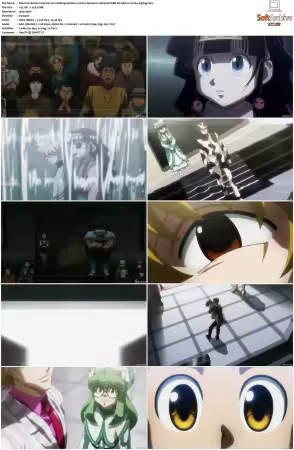Hunter x Hunter 2011 S01-S06 1080p NF WEB-DL AAC2.0 H264-ZigZag