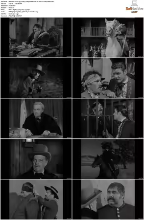 Zorro 1957 S01 S02 1080p DSNP WEB-DL AAC2.0 H264-XiBiU