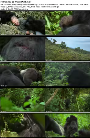 A Gorilla Story Told by David Attenborough 2026 1080p NF WEB-DL DDP5.1 Atmos H264-BLOOM