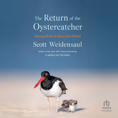 The Return of the Oystercatcher: Saving Birds to Save the Planet (Audiobook)
