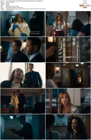 High Potential S01 S02 1080p DSNP WEB-DL DDP5.1 H264-NTb