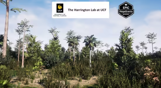 FAB - Basin Swamp Habitat Brush (4.26 – 4.27 and 5.0 – 5.7)