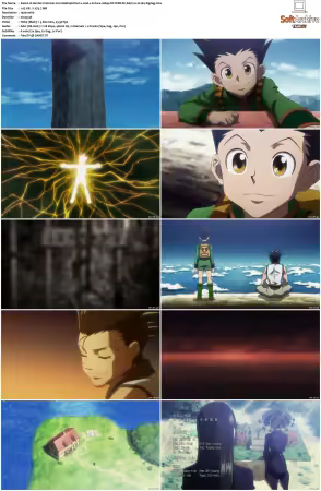 Hunter x Hunter 2011 S01-S06 1080p NF WEB-DL AAC2.0 H264-ZigZag