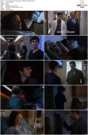 The Good Doctor S01 S07 720p WEBRip 2CH x265 HEVC-PSA