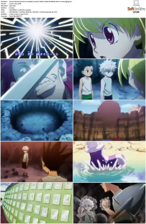 Hunter x Hunter 2011 S01-S06 1080p NF WEB-DL AAC2.0 H264-ZigZag