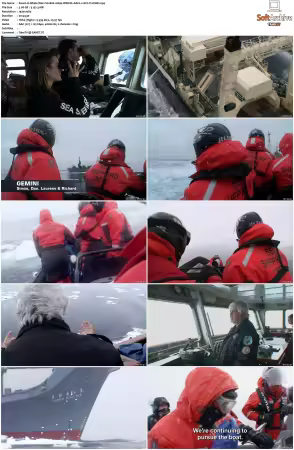 Whale Wars S02 1080p WEB-DL AAC2.0 AVC-TrollHD