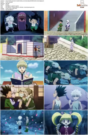 Hunter x Hunter 2011 S01-S06 1080p NF WEB-DL AAC2.0 H264-ZigZag