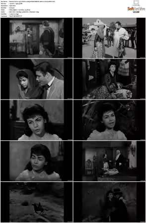 Zorro 1957 S01-S02 1080p DSNP WEB-DL AAC2.0 H264-XiBiU