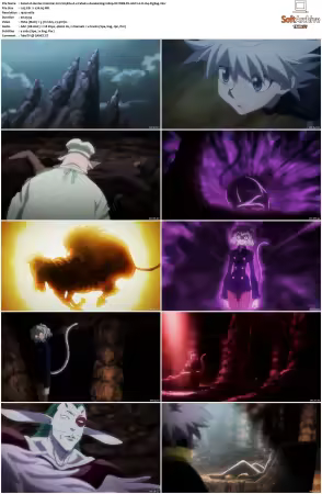 Hunter x Hunter 2011 S01-S06 1080p NF WEB-DL AAC2.0 H264-ZigZag