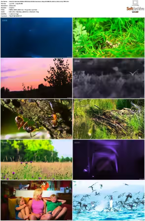 Hamzas Hidden Wild Isles S01 2160p iP WEB-DL AAC2.0 HLG H265-TBN
