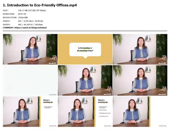 Make Your Office Eco-Friendly: Energy, Waste &amp; Culture