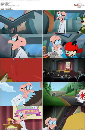 Animaniacs 2020 S01-S03 1080p HULU WEBRip DDP5.1 x265-EDGE2020