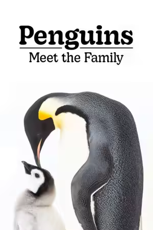 Penguins Meet the Family 2020 1080p AMZN WEB-DL H264-CG