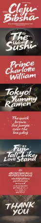 Cleju Bibsha - Bold Japanese Style Brush Display Font