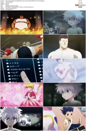 Hunter x Hunter 2011 S01-S06 1080p NF WEB-DL AAC2.0 H264-ZigZag