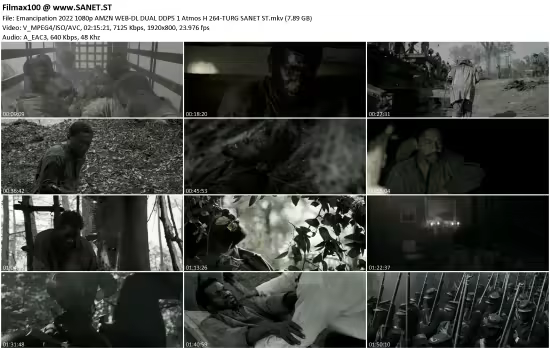 Emancipation 2022 1080p AMZN WEB-DL DUAL DDP5.1 Atmos H264-TURG