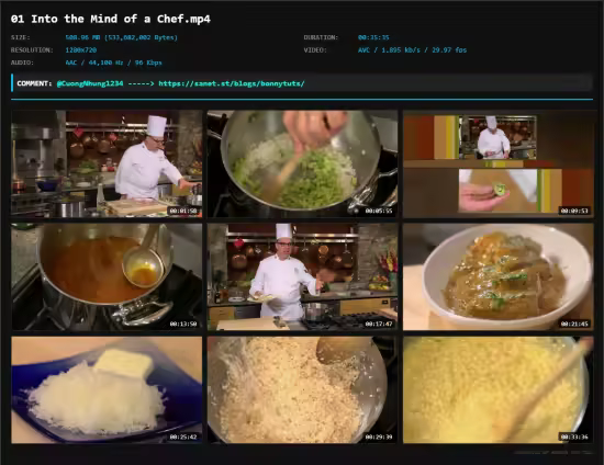 TTC - The Everyday Gourmet: Making Great Meals in Less Time