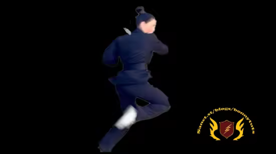 Wing Chun Butterfly Knives Master Certification Course