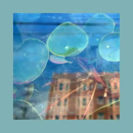 The Reds, Pinks and Purples - Acknowledge Kindness (2026) Mp3 / Flac / Hi-Res
