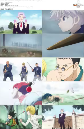 Hunter x Hunter 2011 S01-S06 1080p NF WEB-DL AAC2.0 H264-ZigZag