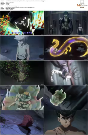 Hunter x Hunter 2011 S01-S06 1080p NF WEB-DL AAC2.0 H264-ZigZag