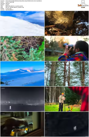 Hamzas Hidden Wild Isles S01 2160p iP WEB-DL AAC2.0 HLG H265-TBN