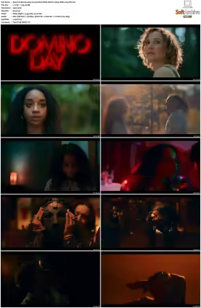 Domino Day 2024 S01 MULTi 1080p WEB x264-FW