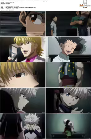 Hunter x Hunter 2011 S01-S06 1080p NF WEB-DL AAC2.0 H264-ZigZag