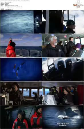 Whale Wars S03 1080p WEB-DL AAC2.0 AVC-TrollHD