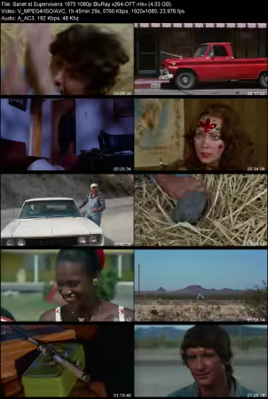 Supervixens 1975 1080p BluRay x264-OFT