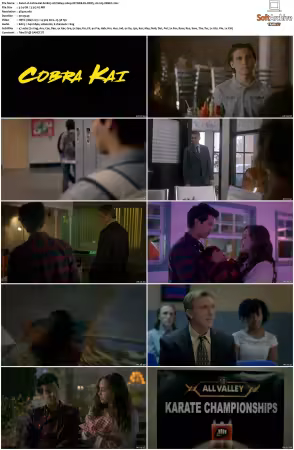 Cobra Kai S01 2160p NF WEB-DL DDP5.1 H265-XEBEC