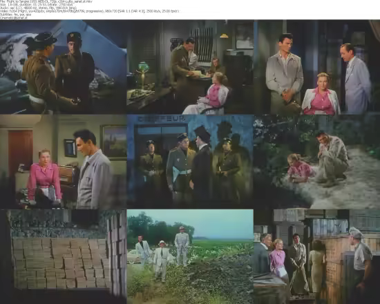 Flight to Tangier 1953 WEB-DL 720p x264-Lutto