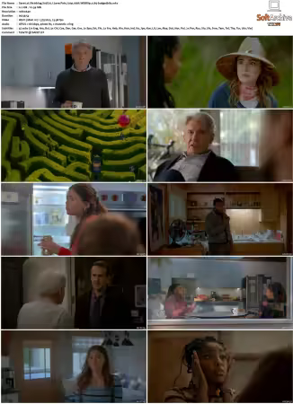 Shrinking S01 S03 720p 10bit WEBRip x265-budgetbits