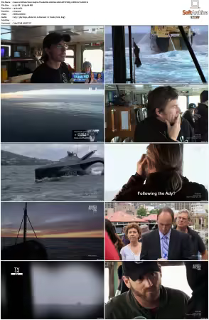 Whale Wars S04 1080i HDTV DD5.1 MPEG2-TrollHD