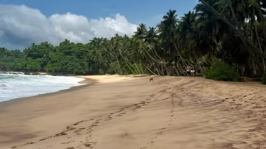 Sri Lanka - travel guide