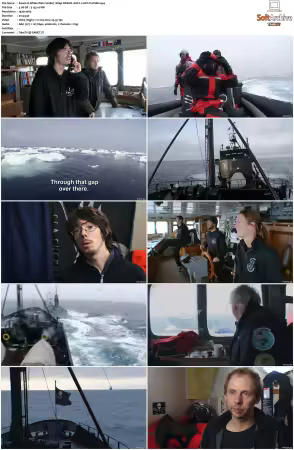 Whale Wars S02 1080p WEB-DL AAC2.0 AVC-TrollHD