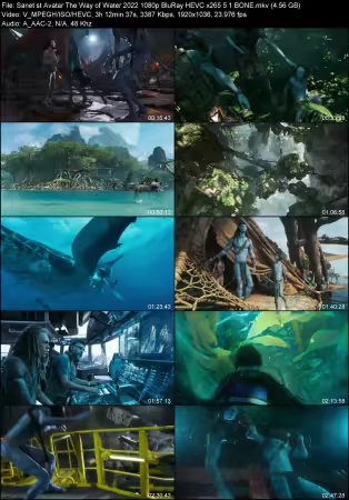 Avatar The Way of Water 2022 1080p BluRay HEVC x265 5.1 BONE