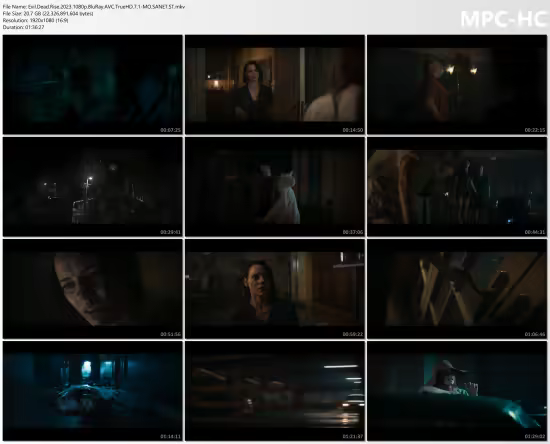 Evil Dead Rise 2023 1080p BluRay AVC TrueHD 7.1-MO