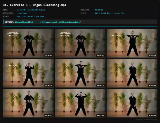 Chinese Qigong: Circulation, Joint Health &amp; Recovery