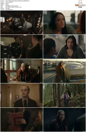 Resident Alien S04 720p BluRay x264-BORDURE