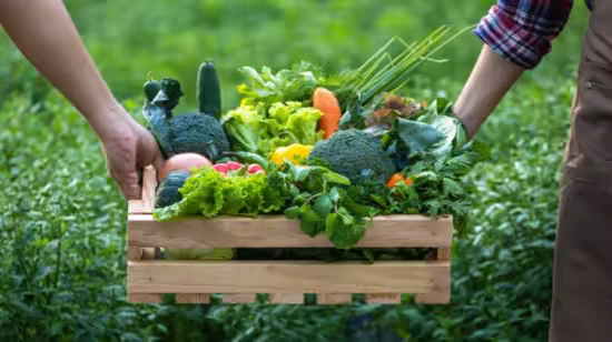 Organic Farming Fundamental