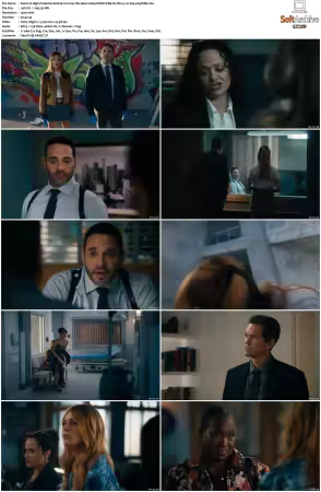 High Potential S01 S02 1080p DSNP WEB-DL DDP5.1 H264-NTb