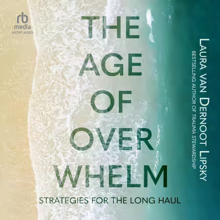 The Age of Overwhelm: Strategies for the Long Haul (Audiobook)