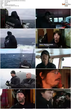 Whale Wars S03 1080p WEB-DL AAC2.0 AVC-TrollHD